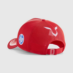 Red cap with HP logo on a light gray background