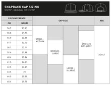 Load image into Gallery viewer, 2024 MoneyGram Haas F1 Black 9FIFTY Snapback Cap ML